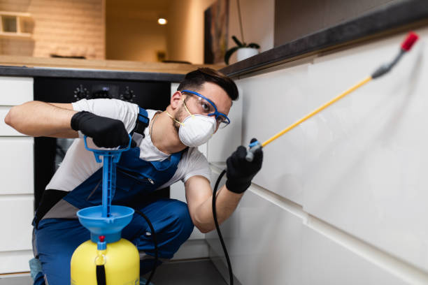 Trusted Almedia, PA Pest Control Experts