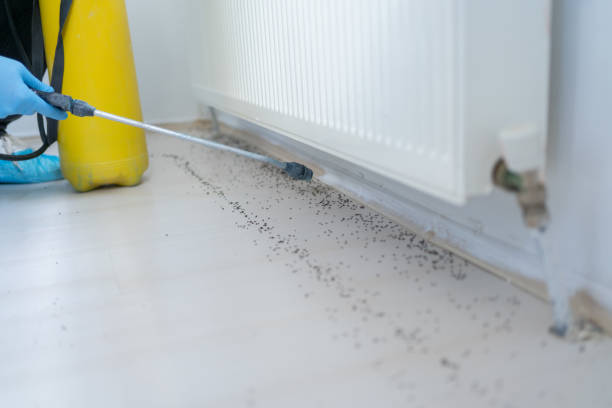 Best Commercial Pest Control Services  in Almedia, PA
